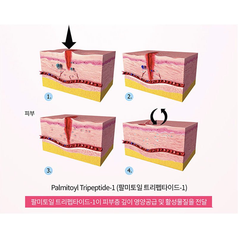 Diagram showing skin repair stages promoting healing with CS LAB Power Repair Cream and Palmitoyl Tripeptide-1.