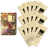Dolly's Lash Lift Individual Packs showing multiple perm lotion sachets with floral-themed packaging on a white background