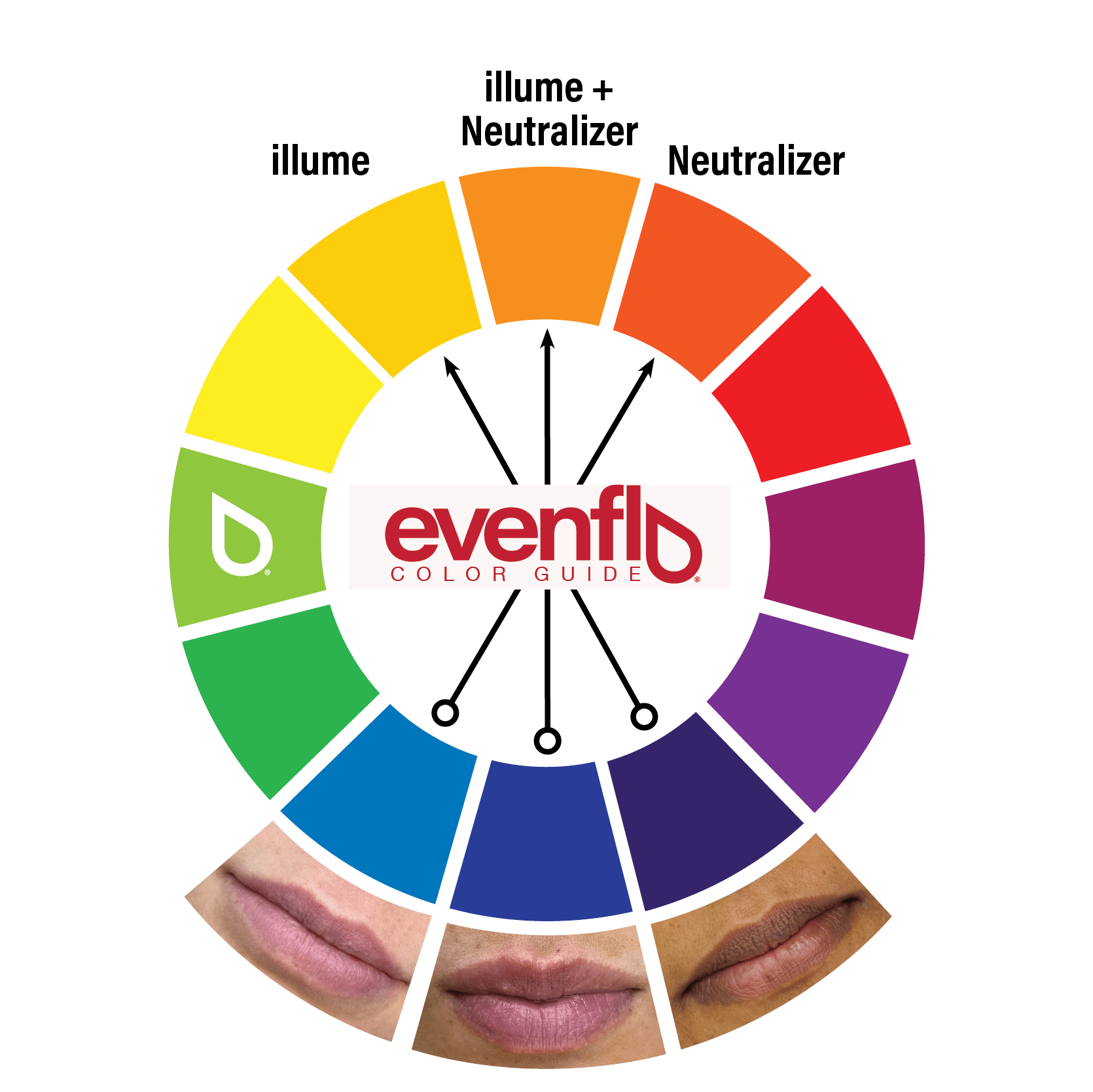 Evenflo Lip Color Correction Set color wheel showing complementary shades for neutralizing various lip tones.