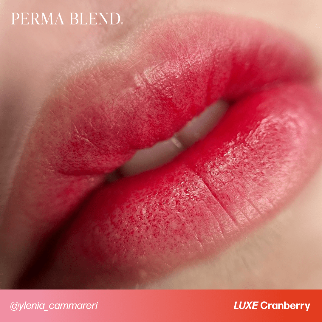 Lips with rich cranberry pigment applied, showcasing the color blend and texture of LUXE - Cranberry cosmetic product.