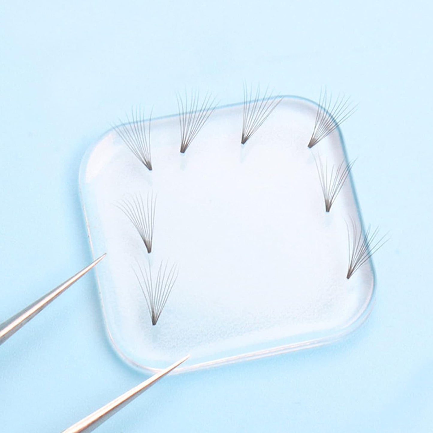 Silicone Lash Pad holding clusters of eyelash extensions on a light blue surface with tweezers nearby