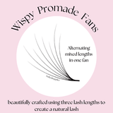 Diagram of Wispy Promade Fans 8D | 0.05 CC displaying alternating mixed lash lengths for natural eyelash extensions.