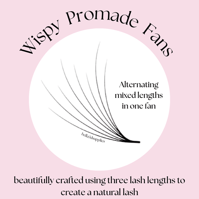 Diagram of Wispy Promade Fans 8D | 0.05 CC displaying alternating mixed lash lengths for natural eyelash extensions.