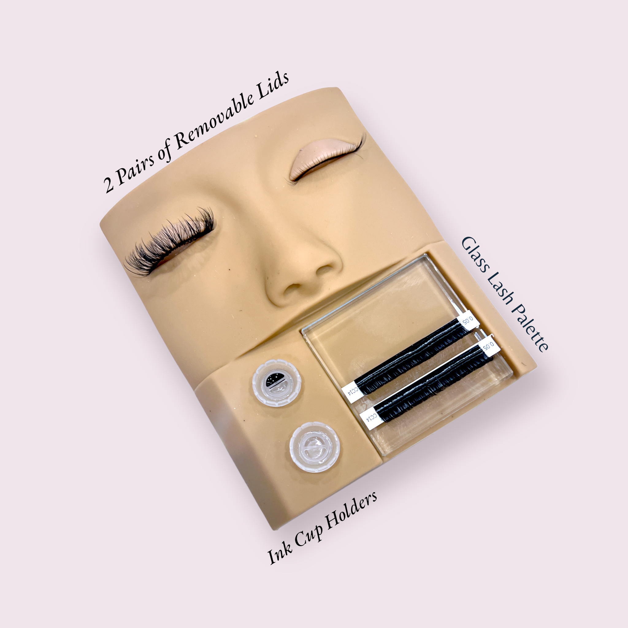 3 in 1 Practice Mannequin