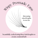 Wispy Promade Fans 8D | 0.05 CC